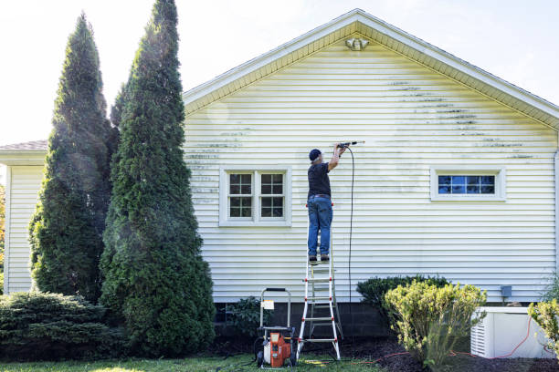 Roof Power Washing Services in Bloomfield, MO